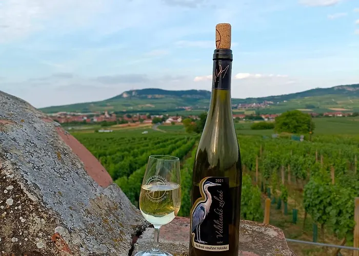 Vinařství Volavka Apartamento