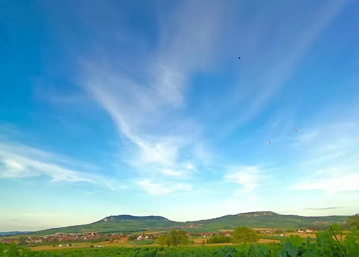 Apartamento Vinařství Volavka Břeclav