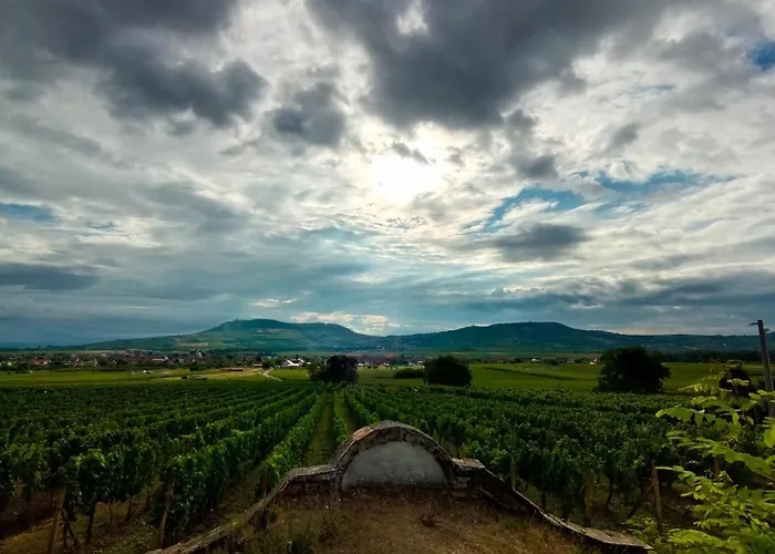 Apartamento Vinařství Volavka *